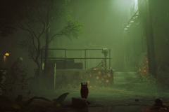 Stray_20230104235610