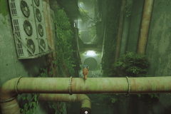 Stray_20230105000438