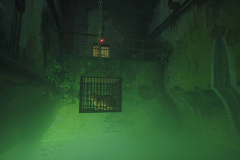 Stray_20230107172654