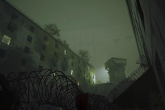 Stray_20230107173454