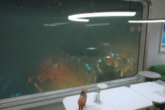 Stray_20230107181325