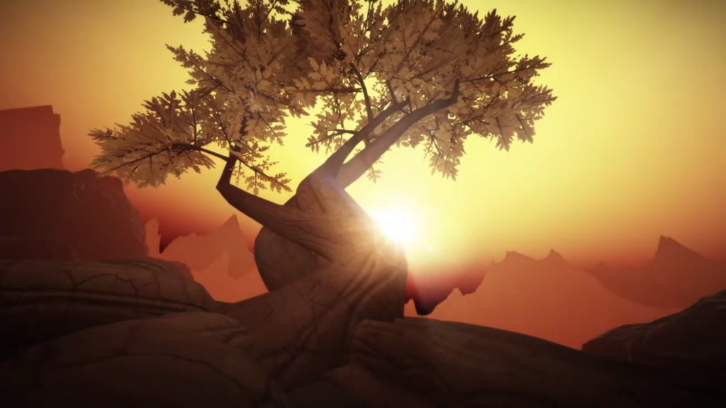 The First Tree with sun rise. 