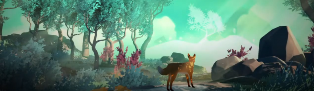 A fox looking towards a trail and a forest.